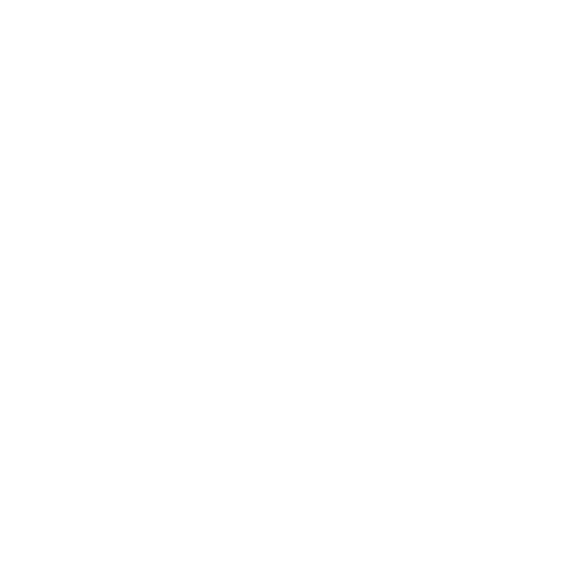 buisness consulting